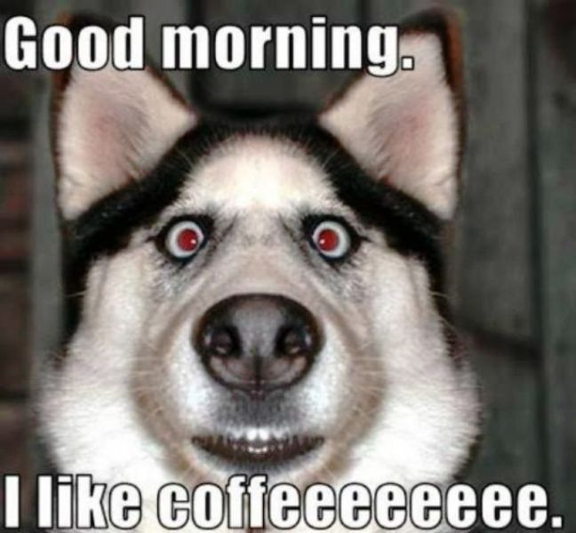 Good Morning I Like Coffee