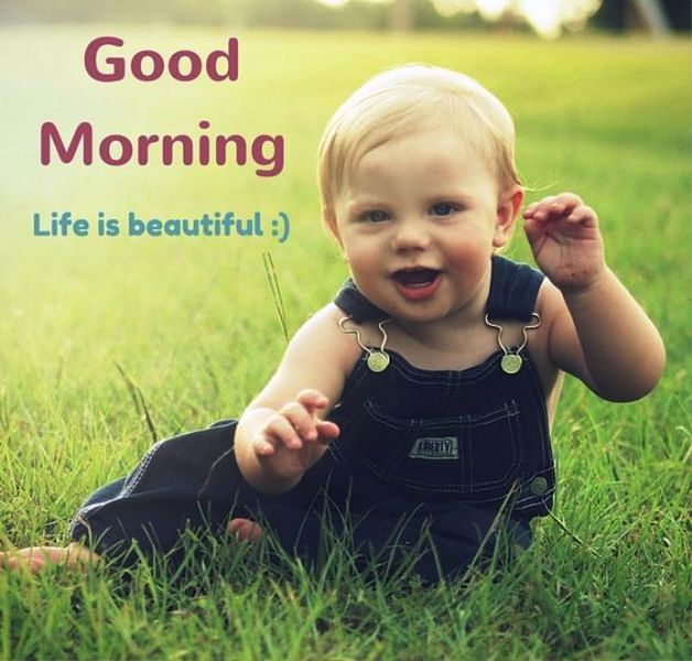 Good Morning Life Is Beautiful