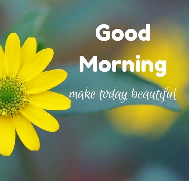 Good Morning Make Today Beautiful