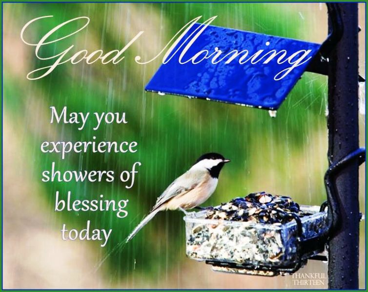 Good Morning May You Experience Showers Of Blessing Today