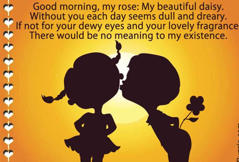 Good Morning My Rose