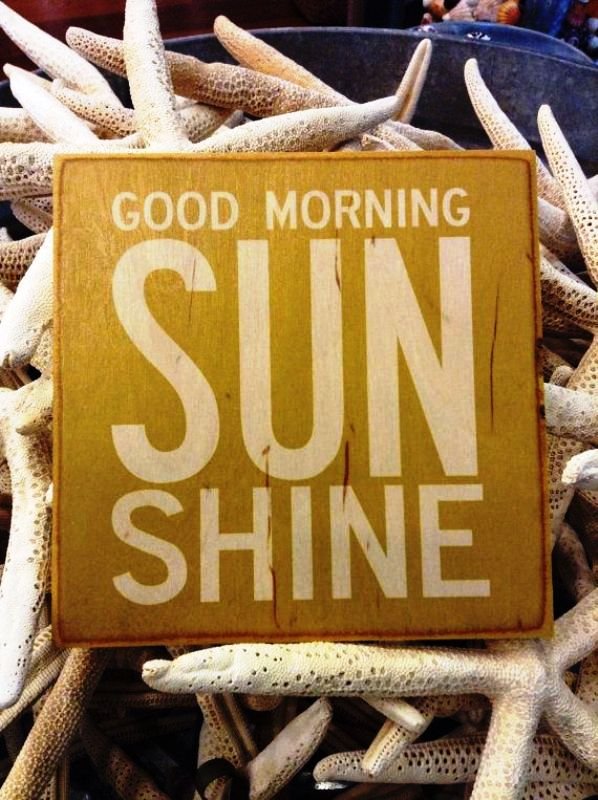 Good Morning Sun Shine