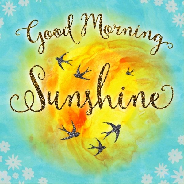 Good Morning Sunshine Pic