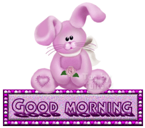 Good Morning With Rabbit