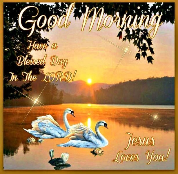 Have A Blessed Day In The Lord