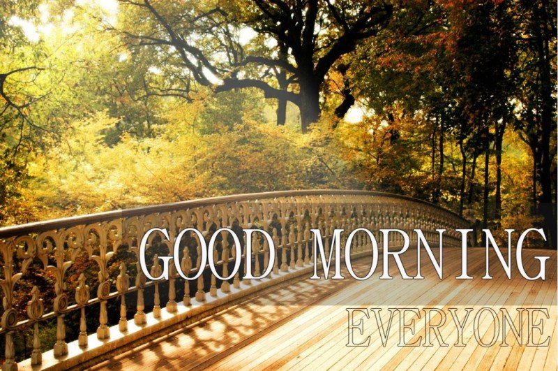 Image Of Good Morning Everyone