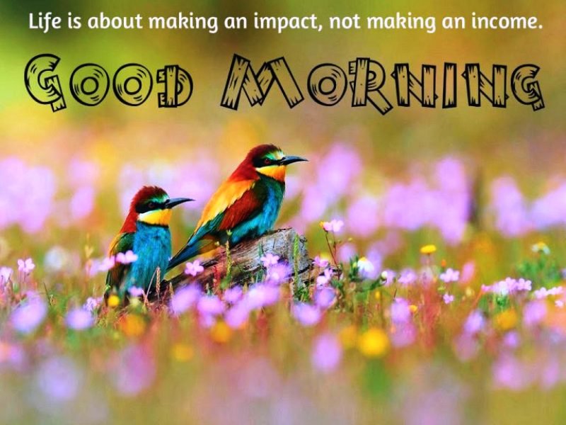 Life Is About Making An Impact Not Making An Income