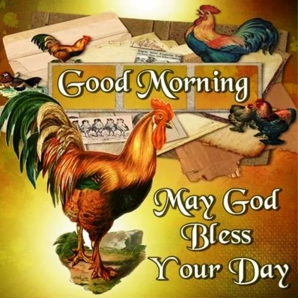 May God Bless Your Day