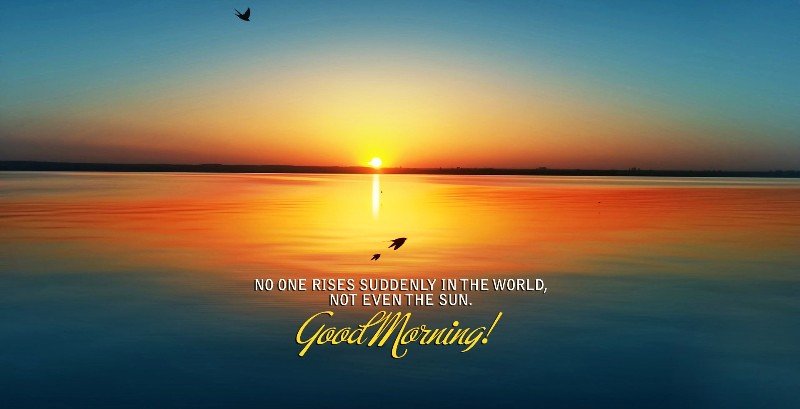 No One Rises Suddenly In The World