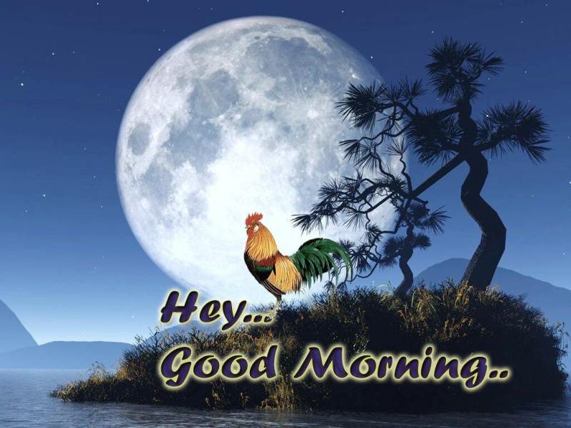 Outstanding Photo Of Good Morning