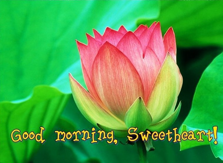 Pic Of Good Morning Sweetheart