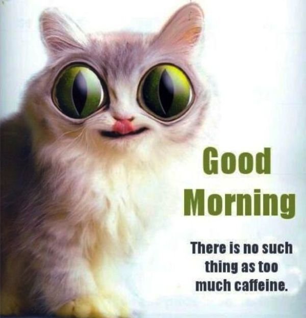 There Is No Such Thing As Too Much Caffeine