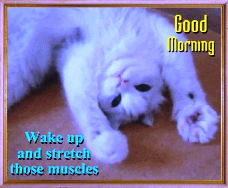 Wake Up And Stretch Those Muscles