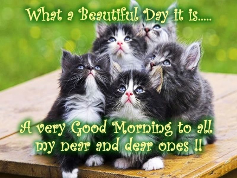 42 Awesome Good Morning Beautiful Day Images 42 Awesome Good Morning Beautiful Day Images