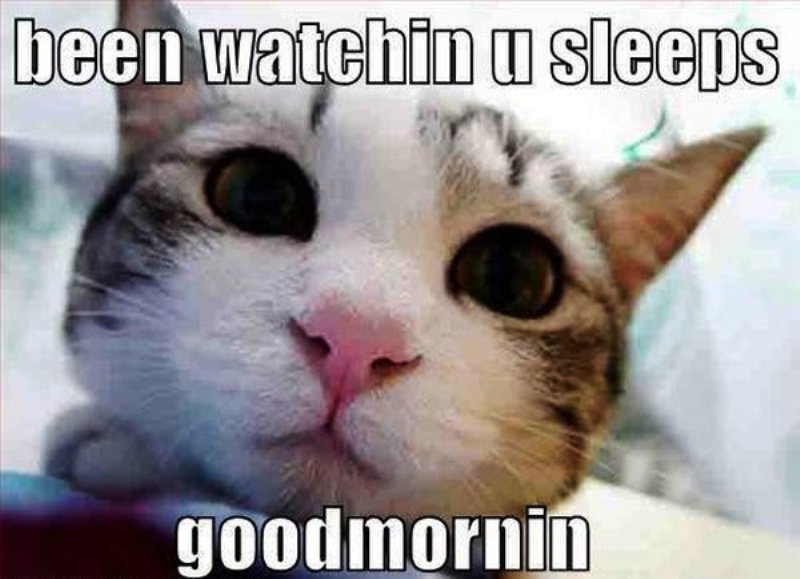 Been Watching You Sleep
