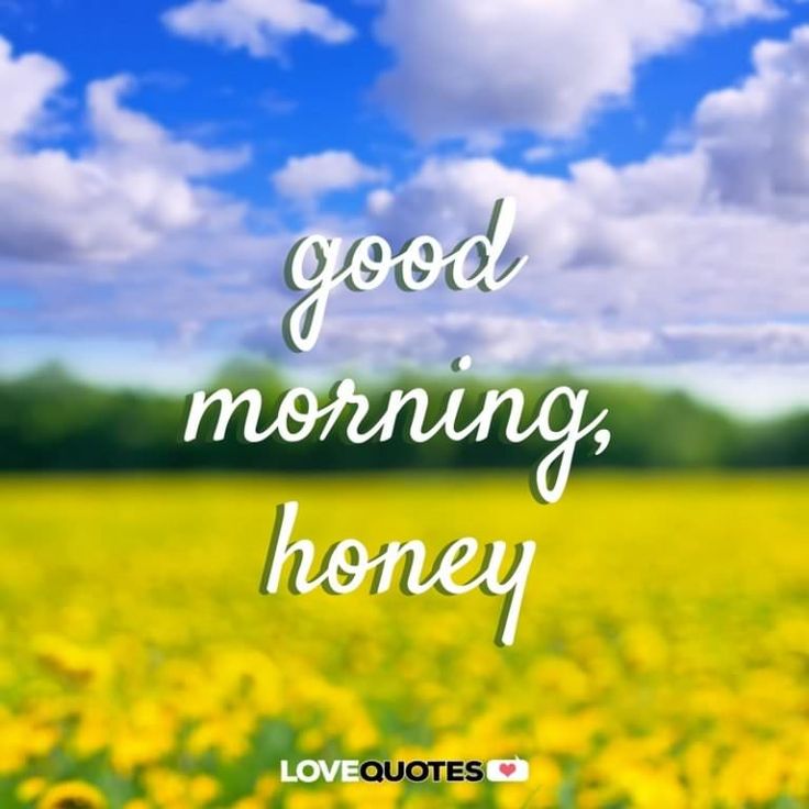 Good Morning Honey Photo
