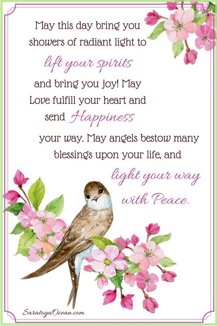 May This Day Bring You