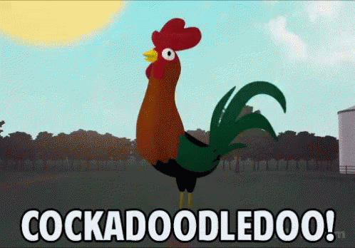 Good Morning Cock-A-Doodle