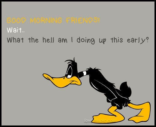 Good Morning Friends