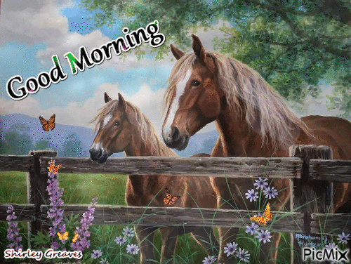 Good morning With Horses