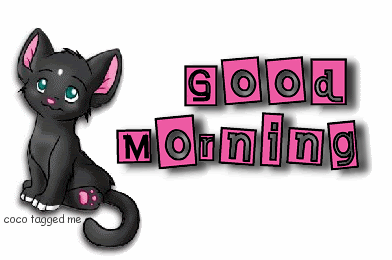 Good Morning With Kitty