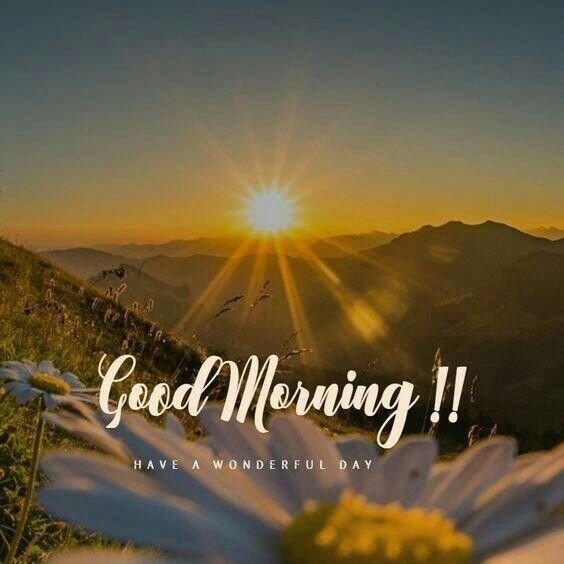 Have A Wonderful Day