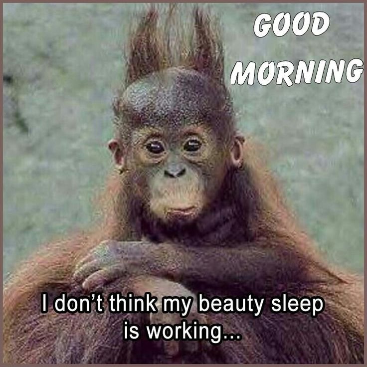I Don't Think My Beauty