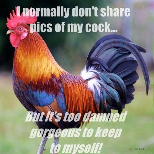 I Normally Don't Share
