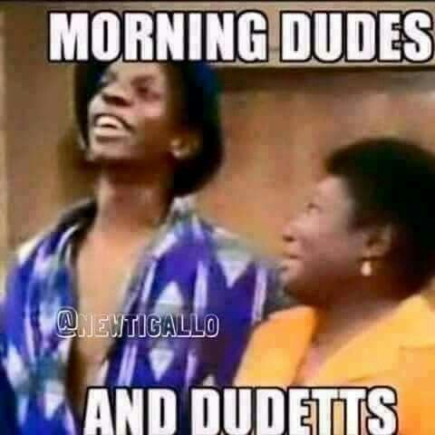 Morning Dudes