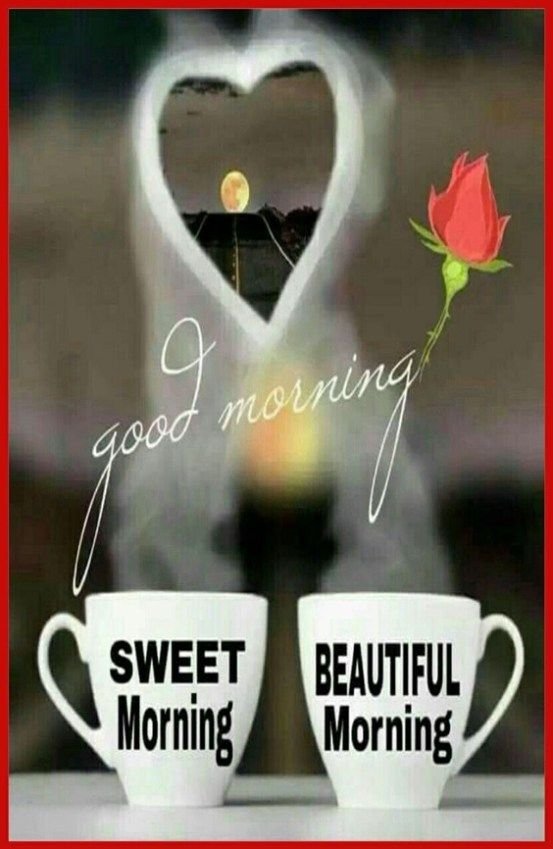 Sweet Morning
