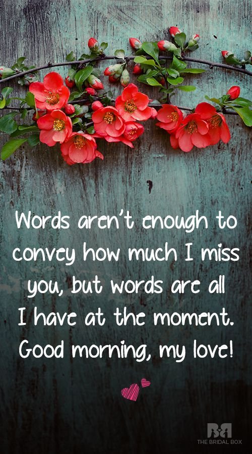 Words Aren't Enough