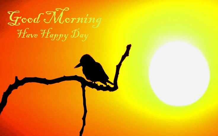 Attractive Good Morning