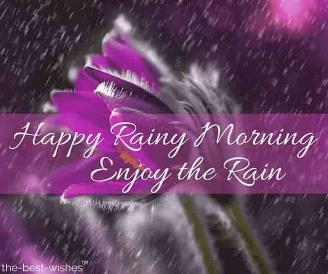 Enjoy The Rain