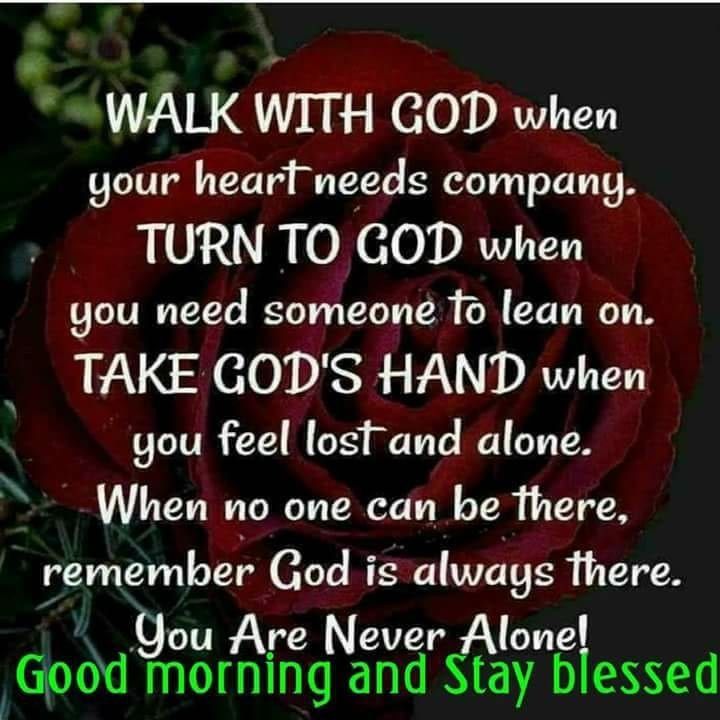 Good Morning And Stay Blessed
