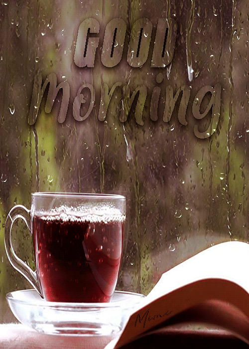 Good Morning Gif Photo