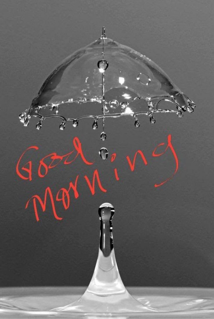 43 Amazing Good Morning Rain Pics