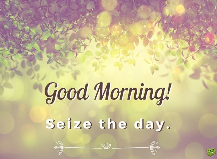 Good Morning Seize The Day