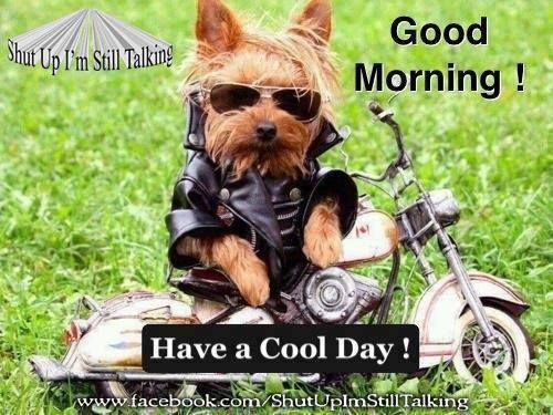 Have A Cool Day