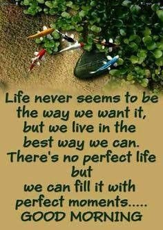 Life Never Seems To Be