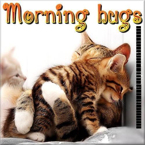Morning Hugs