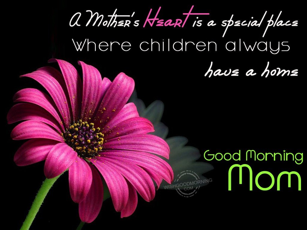 A Mothers Heart Is A Special Place Good Morning Mom Picture