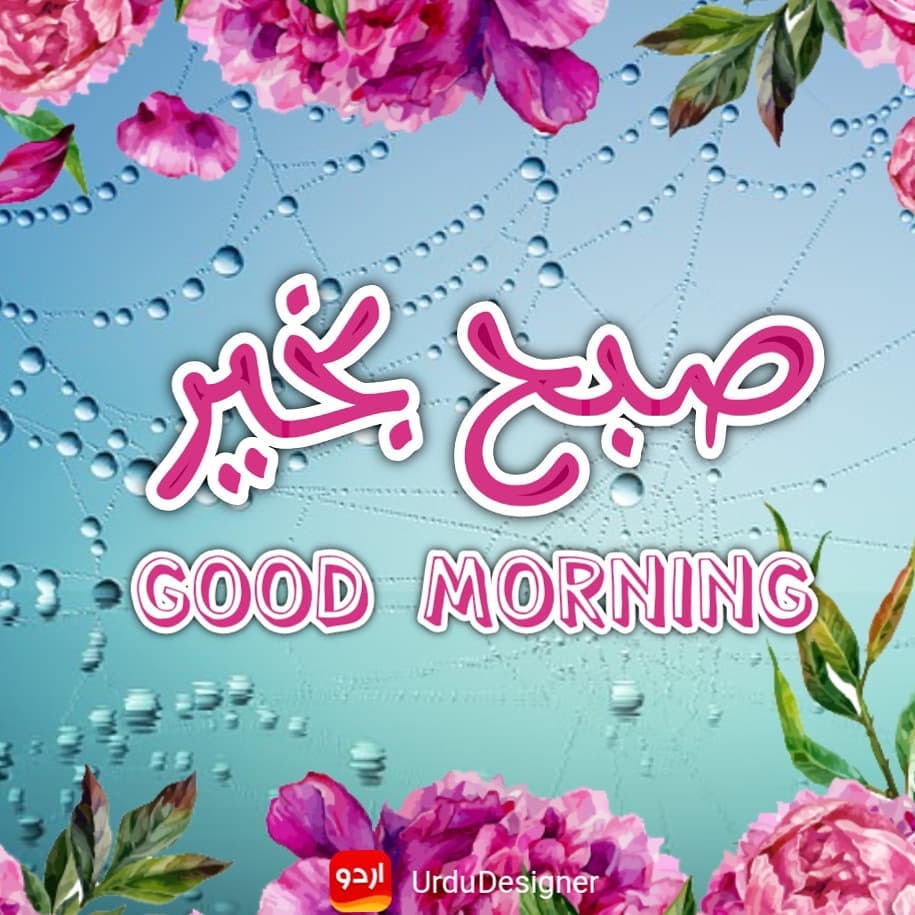 Beautiful Good Morning Images In Urdu Photo