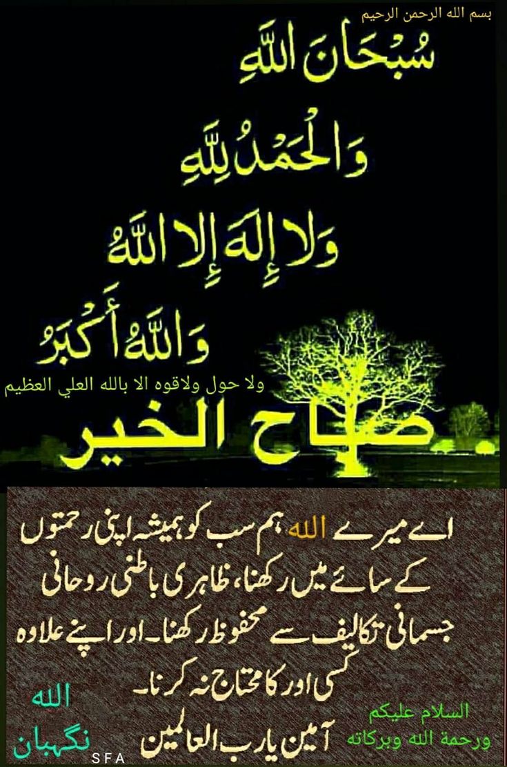 Beautiful Good Morning Images In Urdu