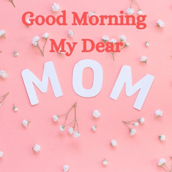Beautiful Good Morning My Dear Mom