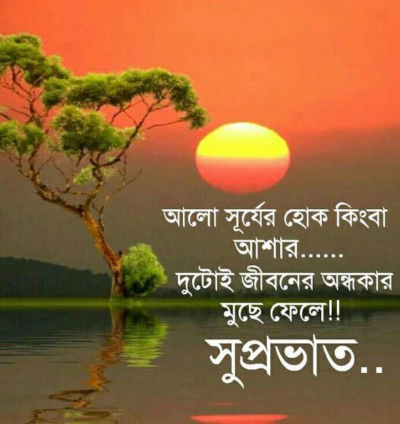 Bengali Best Good Morning Images