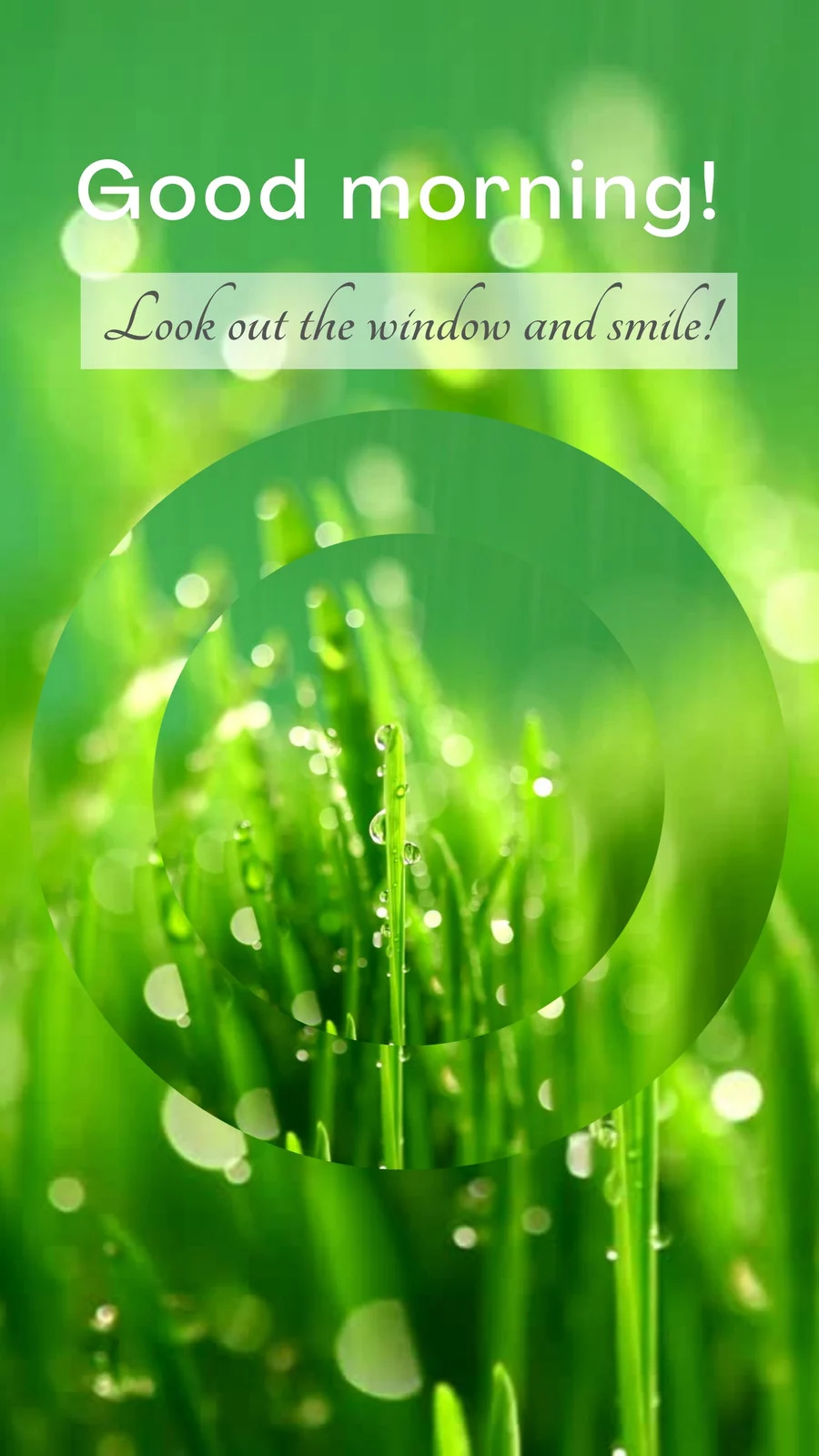 Best Good Morning Green
