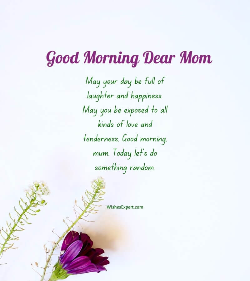 Best Good Morning My Dear Mom