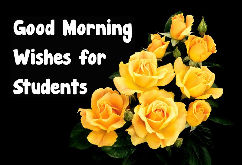 Best Good Morning Students Image