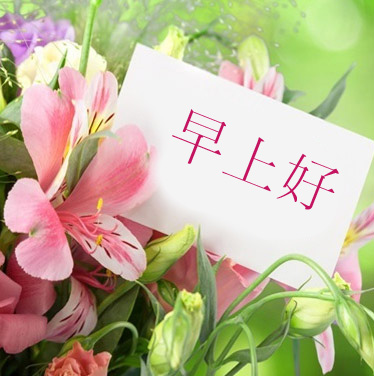 Chinese Flowers Romantic Wallpaper