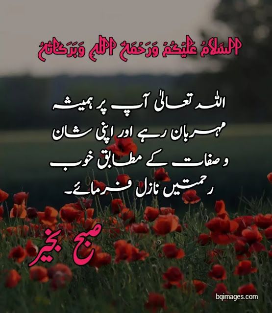 Fabulous Good Morning Urdu